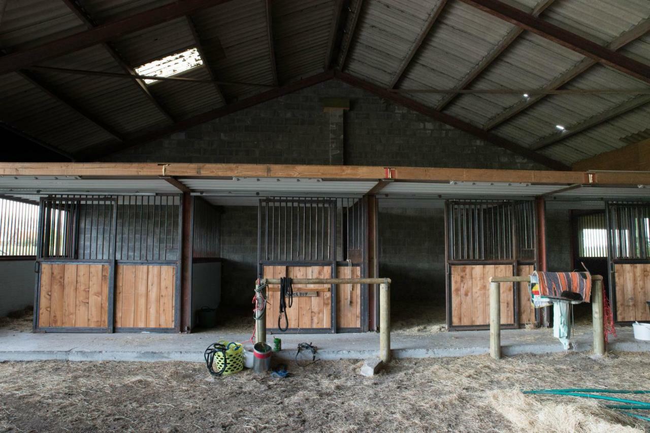 Boeren Biezen Bed Landelijk Βίλα Εξωτερικό φωτογραφία