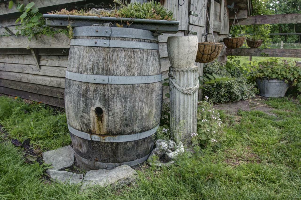 Boeren Biezen Bed Landelijk Βίλα Εξωτερικό φωτογραφία