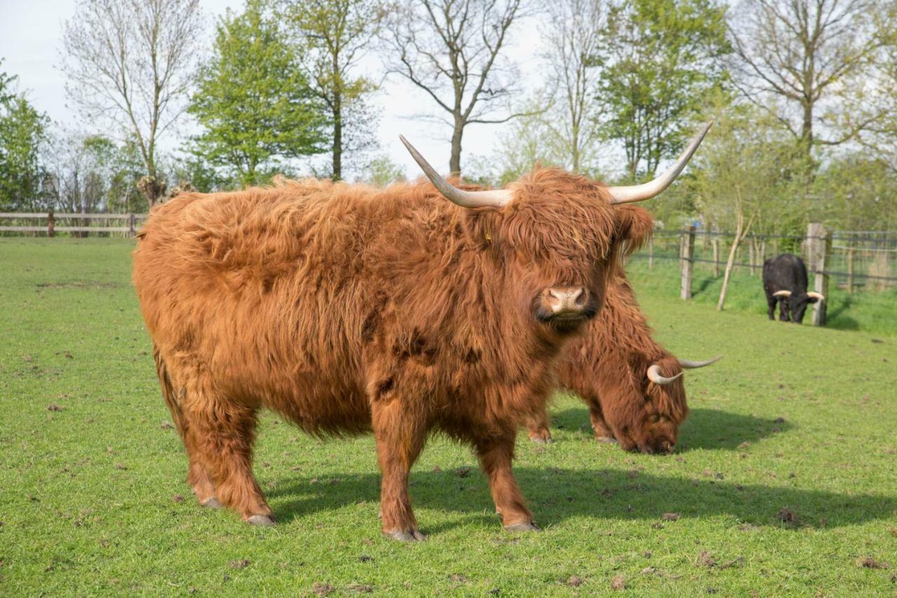 Boeren Biezen Bed Landelijk Βίλα Εξωτερικό φωτογραφία